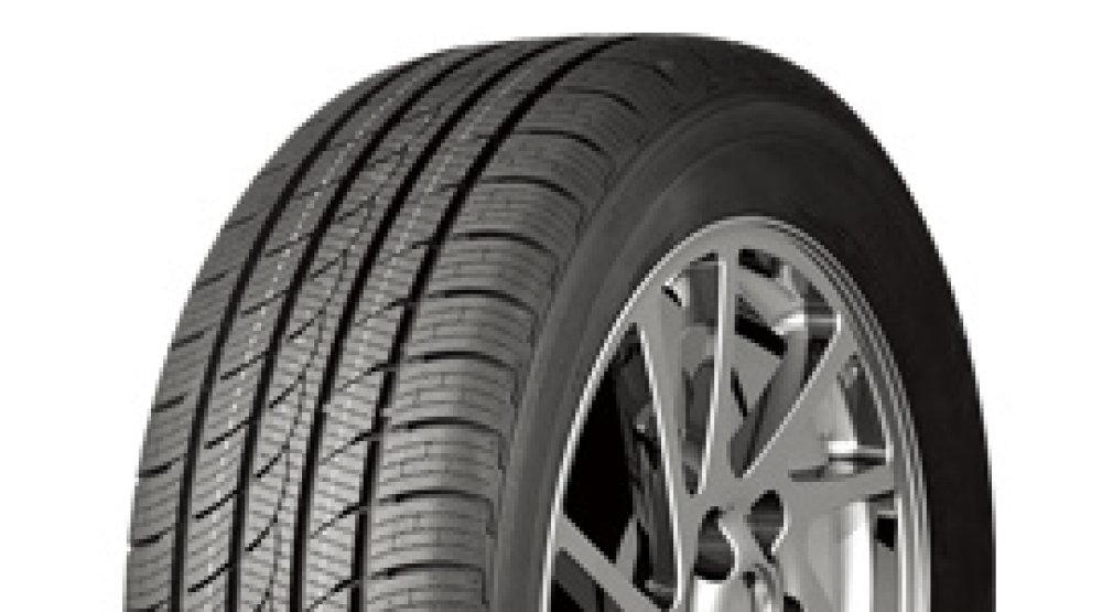Road King Ice-Plus S220 225/65R17 102H