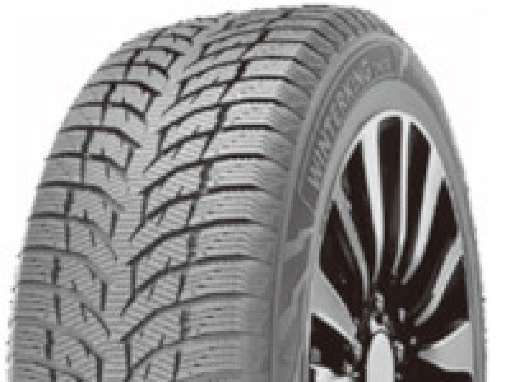 Double Star DW08 185/65R14 86T