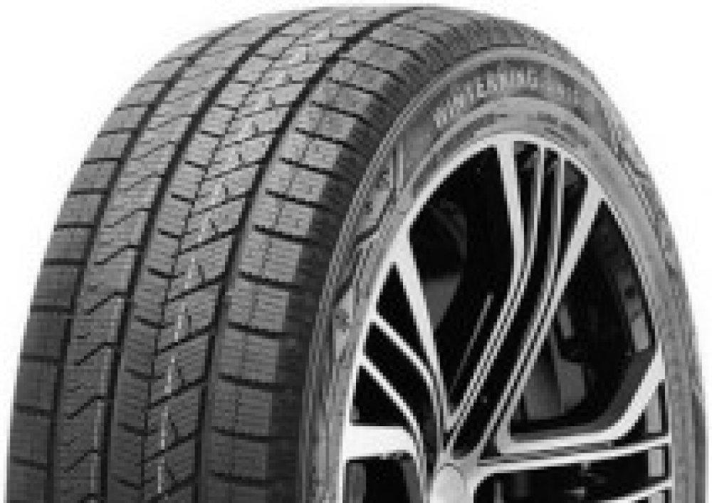 Double Star Winterking DW16 235/60R19 103S