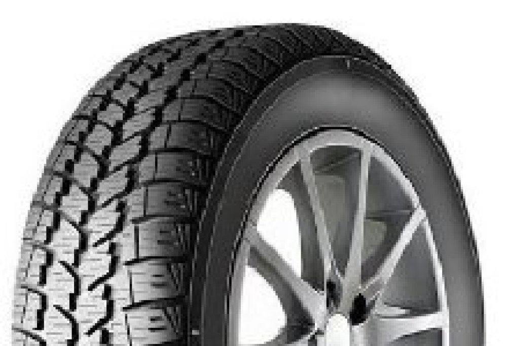 Mastersteel Winter + 225/55R17 97H