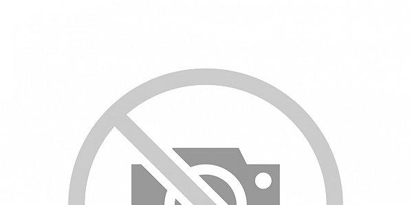 Firestone Van MultiSeason 205/65R16 107T