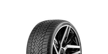 Fronway ICEMASTER I 205/55R17 95H